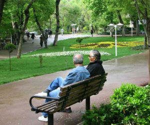 خرید کاشت چمن طبیعی در تهران ممنوع شد