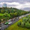 کاشت چمن طبیعی در تهران ممنوع شد