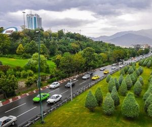 کاشت چمن طبیعی در تهران ممنوع شد